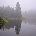 Mystical Morning