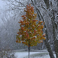 When Seasons Collide